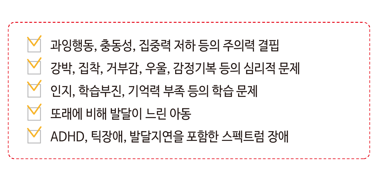 브레인피트니스 프로그램 활동