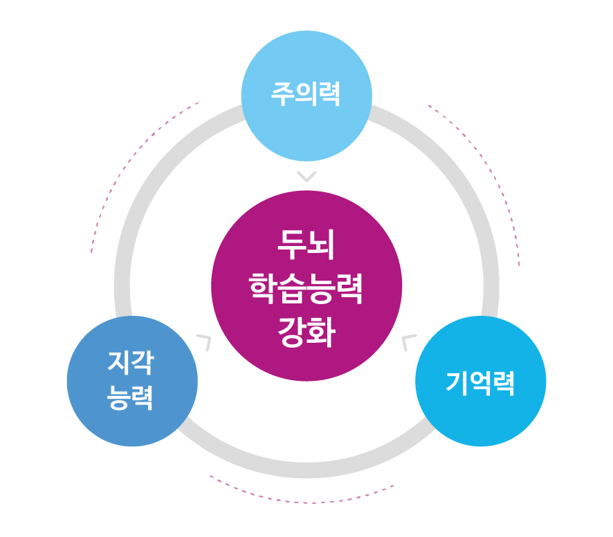 브레인러닝 프로그램 활동